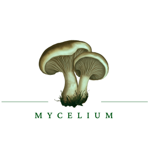 Mycelium